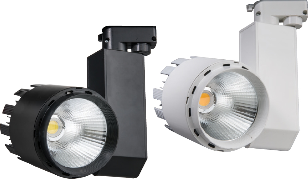 30 Watt Ray Spot